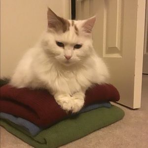 Meet your Posher, Carolyn